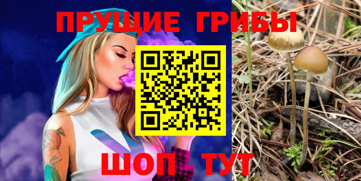 Сатка  Галлюциногенные грибы мухоморы  Вход с VPN 