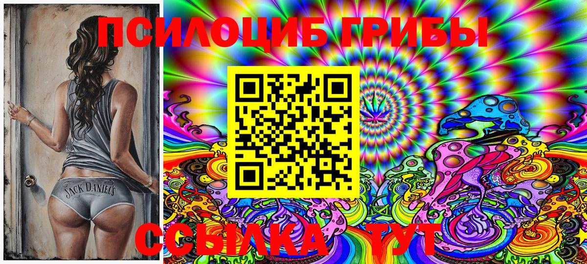 Псилоцибиновые грибы Cubensis Сатка