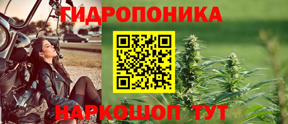 Каннабис Amnesia  Вход с VPN  Сатка  Конопля AK-47  Марихуана планчик 